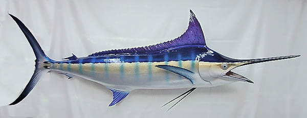Fish Mount Type: Blue Marlin