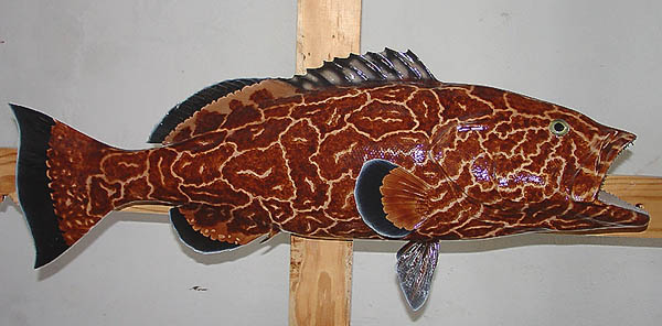 Grouper Mount