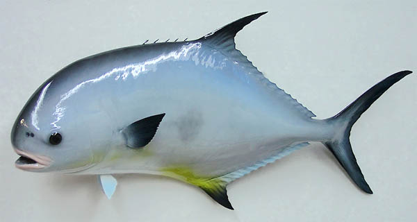 Permit Mount