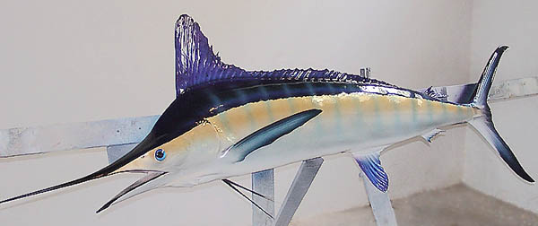 Fish Mount Type: White Marlin