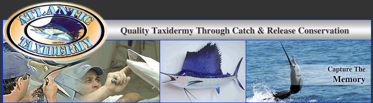 Fish Mounts, Fish Replicas, Fish Taxidermy