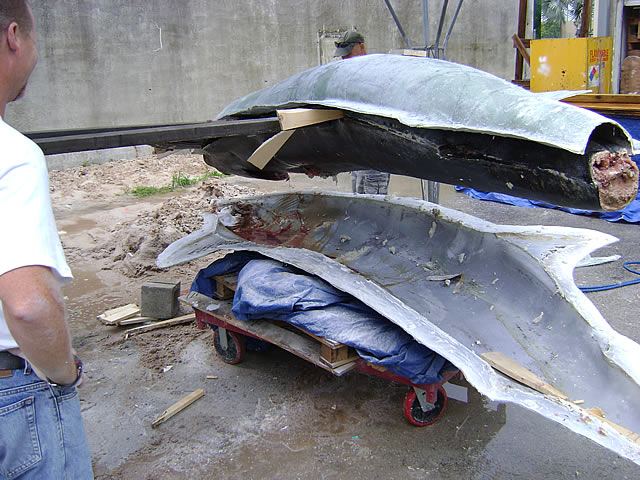 Fish Mounts "Record Marlin" split mold phase