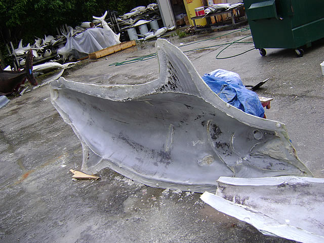 Fish Mounts "Record Marlin" cleaned mold