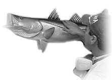 Fish Mounts
